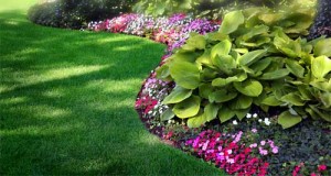 lawn-local-records-office-localrecordsoffices-property-profile-real-estate